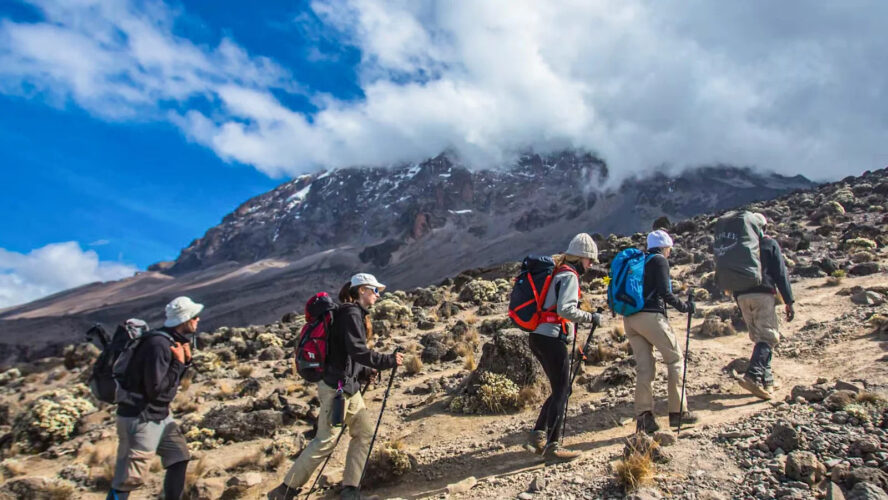 Hike through alpine desert in Kilimanjaro