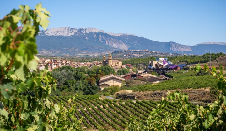 la rioja vineyards