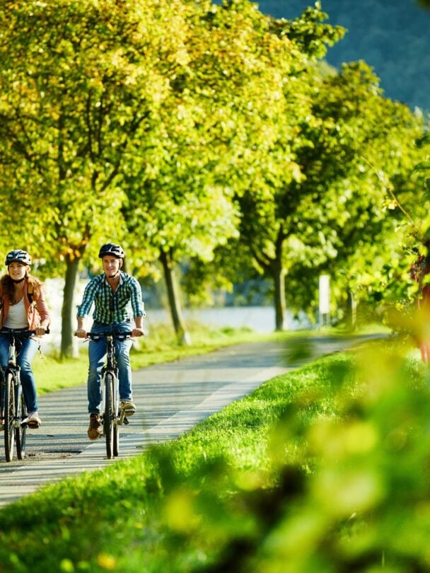 self-guided rhine river
