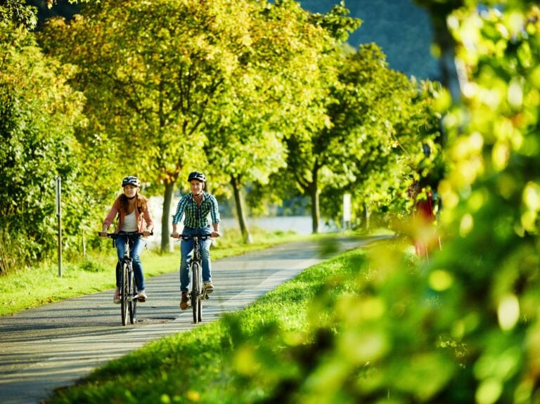 moselle bike path