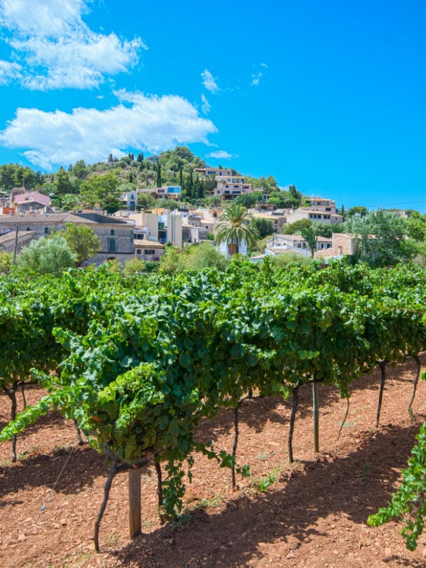 mallorca cycling tour
