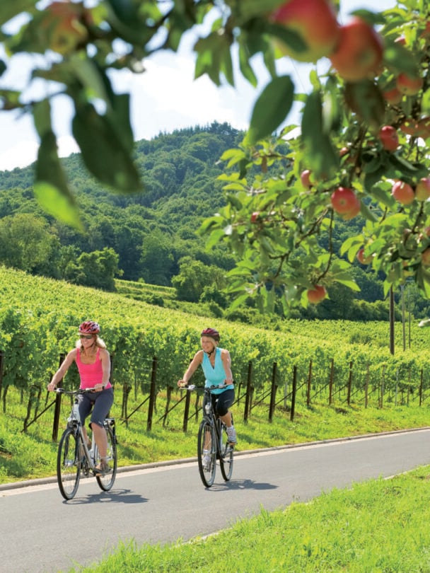 rhine moselle river cruise ride