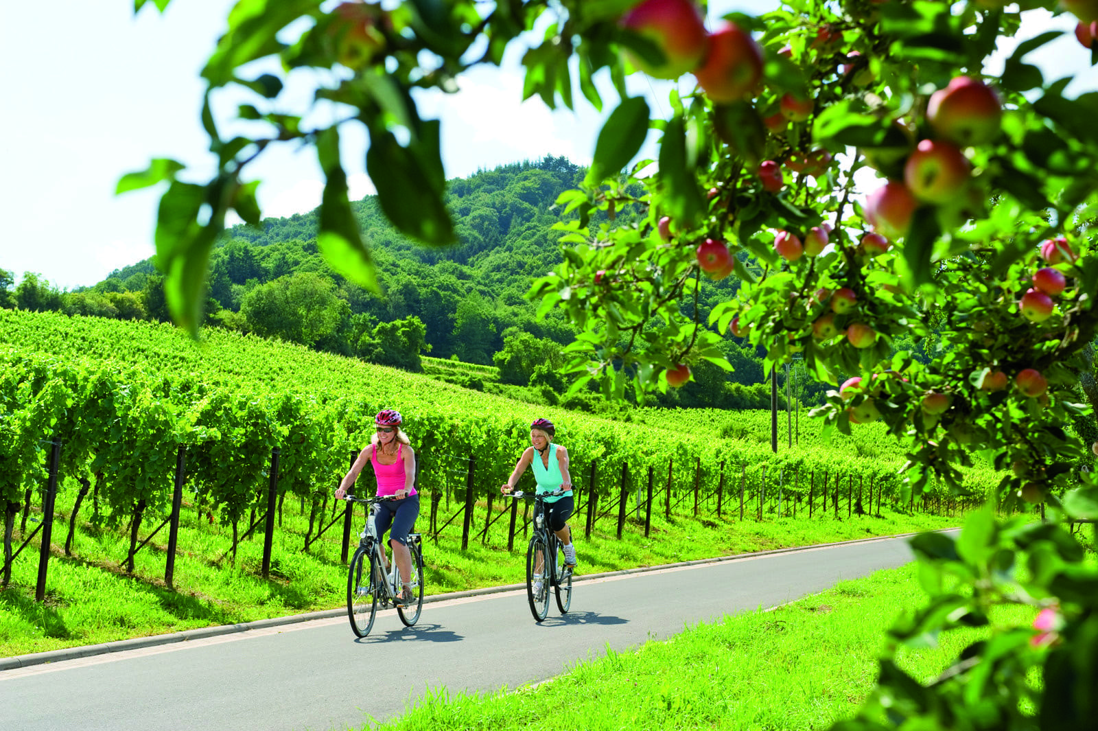 rhine moselle river cruise ride
