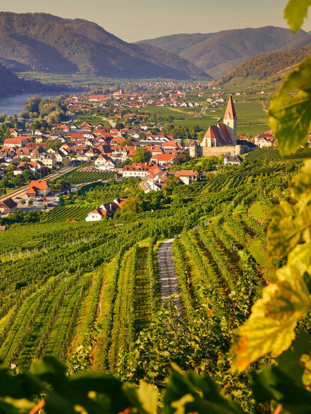 danube river cruise bike