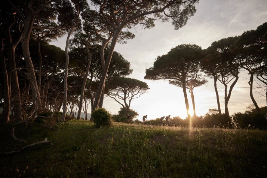 E-MTB umbrella pines in Tuscany