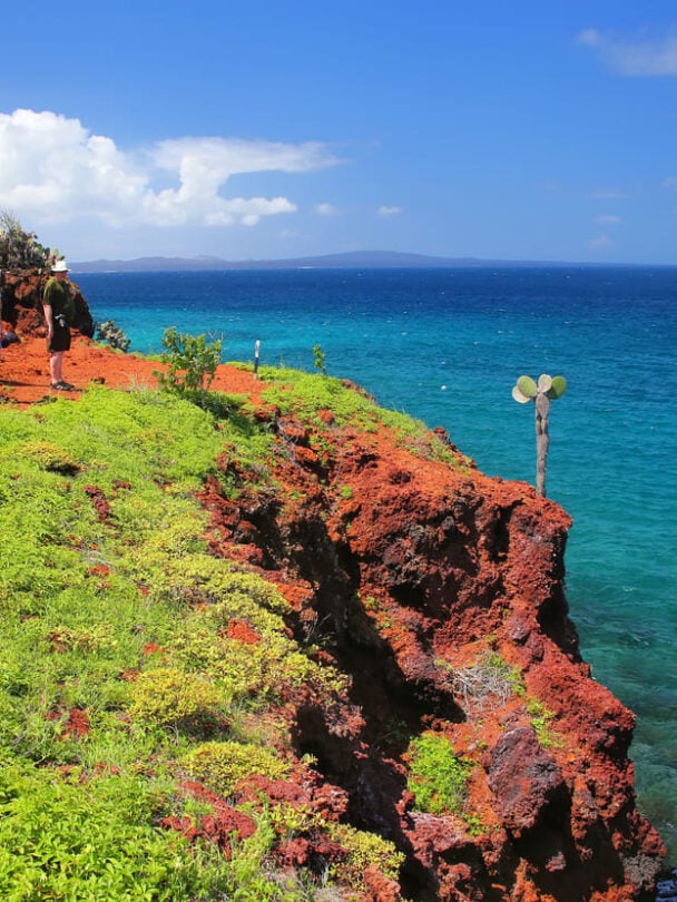 Galapagos Island Hopping