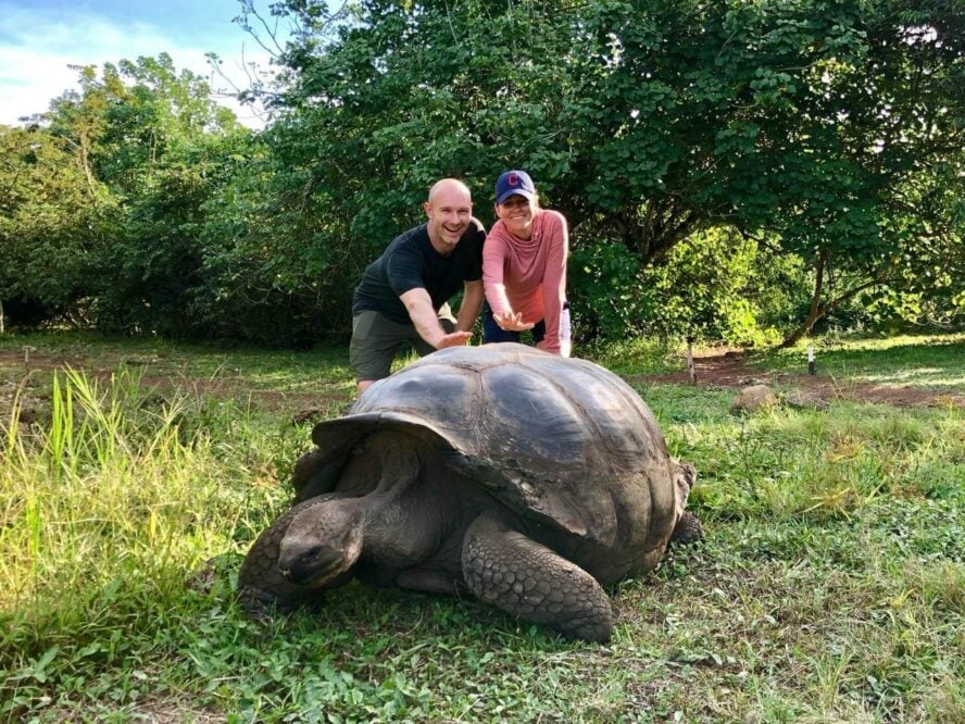 Giant tortoise Santa Cruz