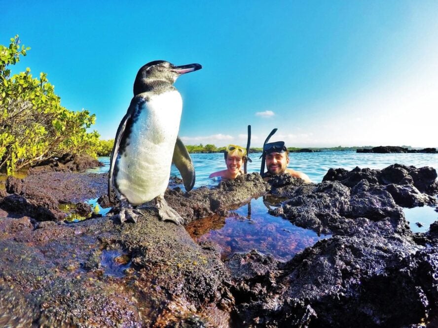 Guided Galapagos active holiday