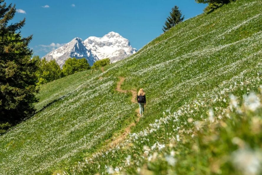 Guided hiking tour Kranjska gora and Julian Alps
