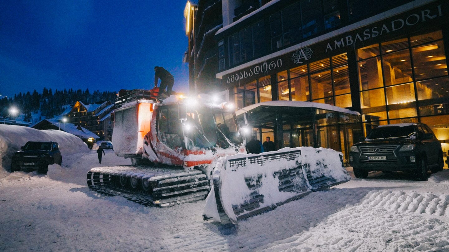cat readys kiing georgia
