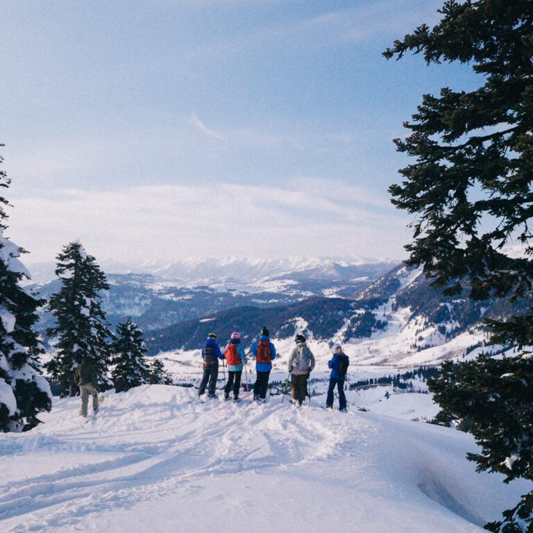 skiers group georgia