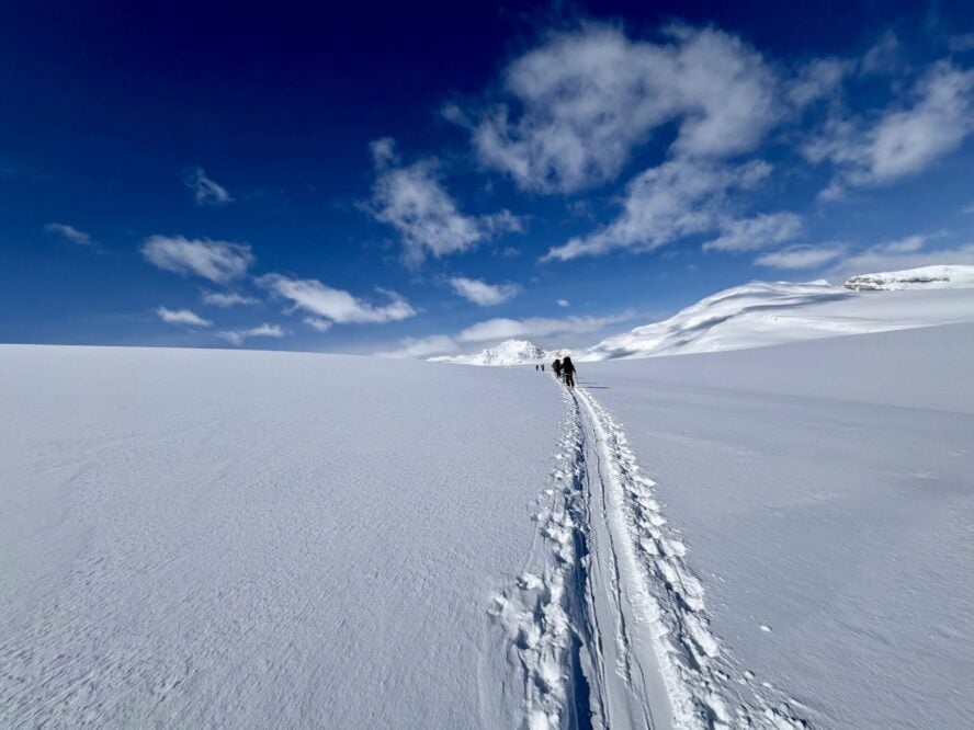 Skinning ski touring Canadian Rockies