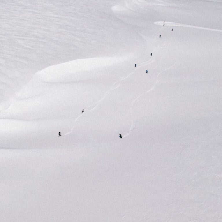 trail tiny skiers georgia