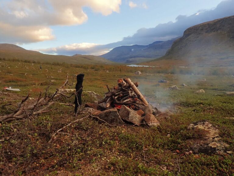 Into the heart of Sarek