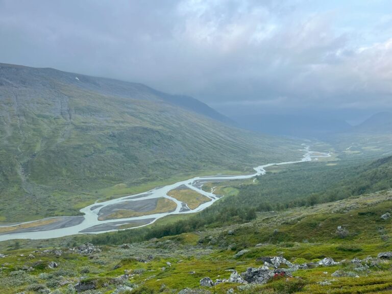 Bastavagga