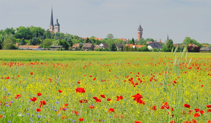 burg town germany