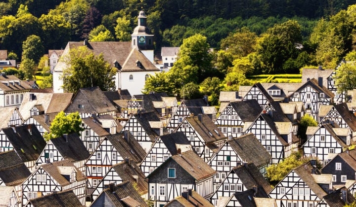 freudenberg view