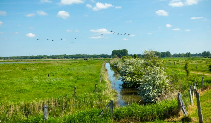 germany north marshes