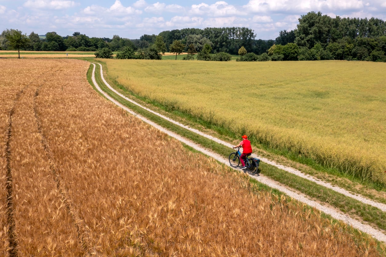 hamburg salt road bike boat