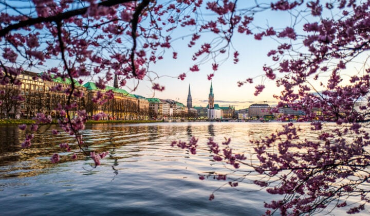hamburg spring lake