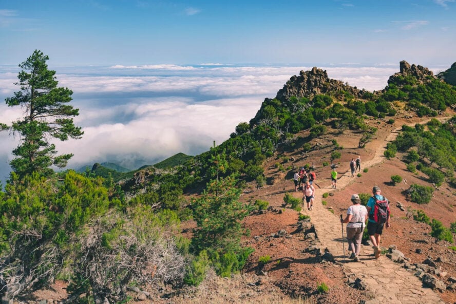 Madeira hikers