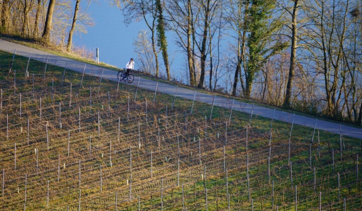 neckar river bike