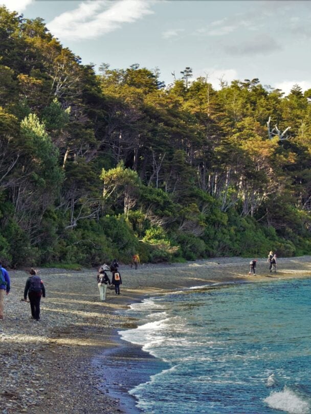 Hiking in Punta Arenas, Chile