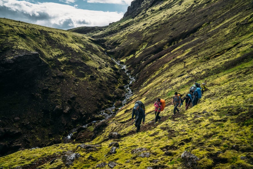Sheoherd's trail in iceland