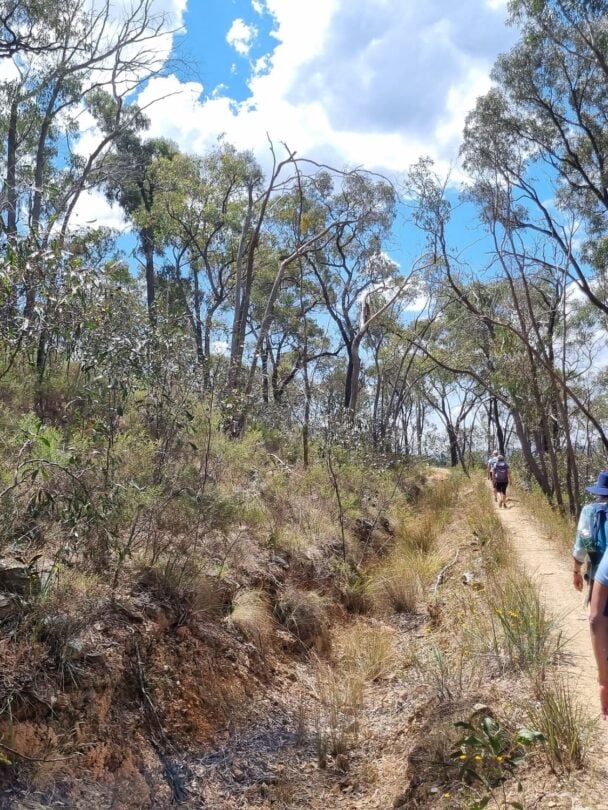 Hiking Daylesford