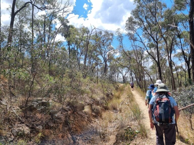 Walkers on a path in Victoria