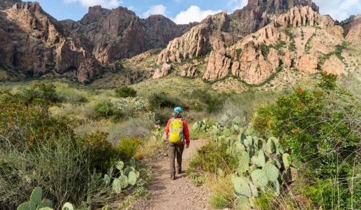 big bend hiking day