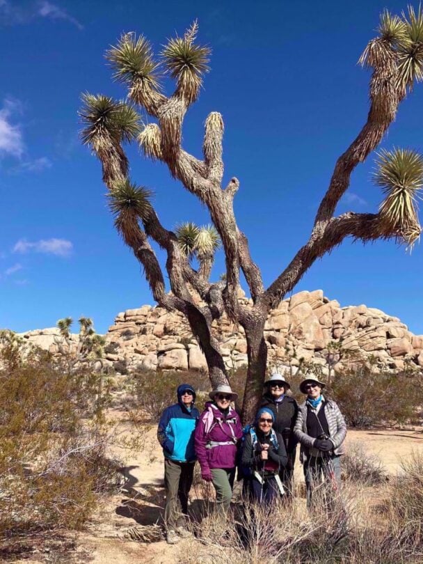 Hiking in Death Valley & Joshua Tree National Parks | California