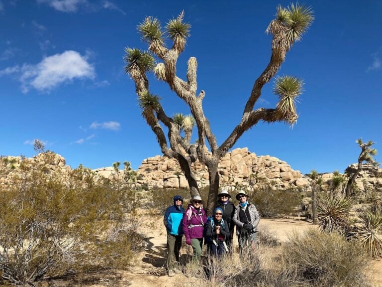 Rock formations and history in Joshua Tree — Hiking in Death Valley & Joshua Tree National Parks | California