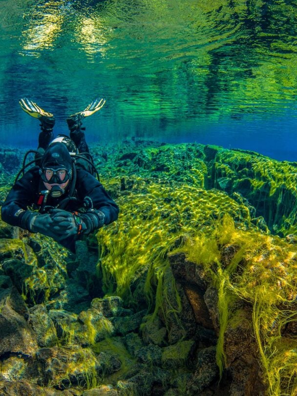 Other in Silfra Fissure | Iceland