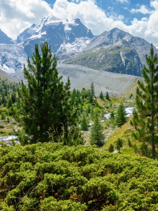Mountain Biking in Switzerland, Austria, and Italy