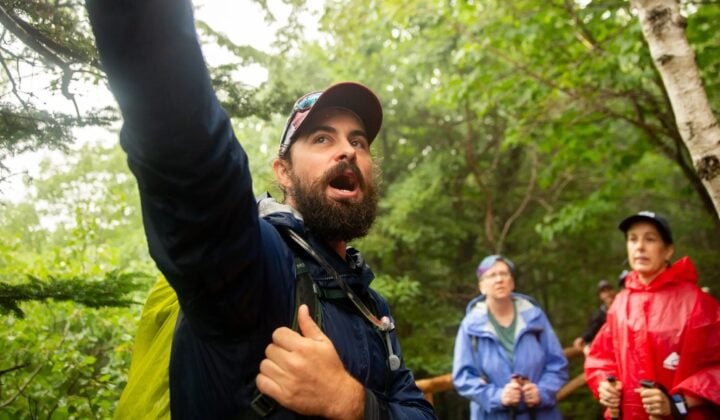 acadia forest guide