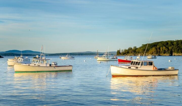Free day to explore what interests you most — Active Adventures in Acadia National Park | Maine