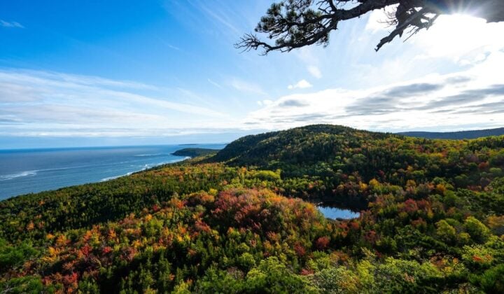 Wildlife cruise, quiet-side hike, and lobster dinner — Active Adventures in Acadia National Park | Maine