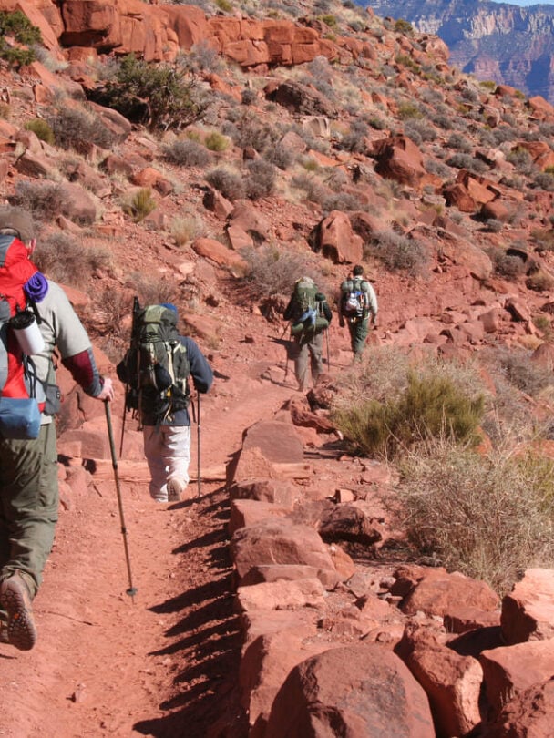 backpackers in the grand canyon