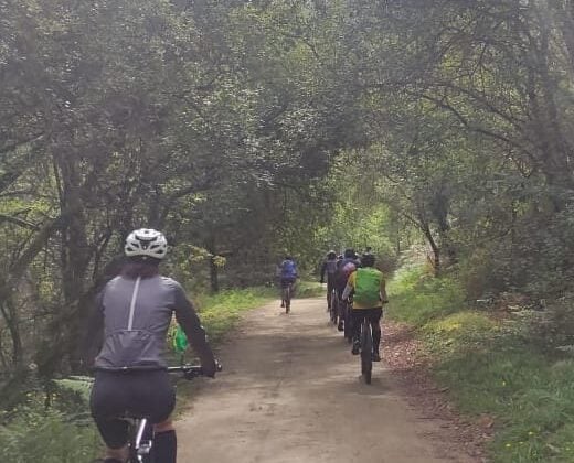 Image 12: Cyclists riding together along a shaded woodland trail