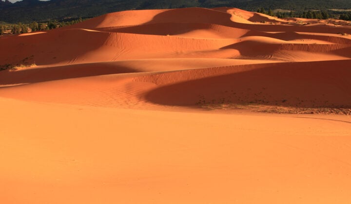 coral pink sand dunes in utah