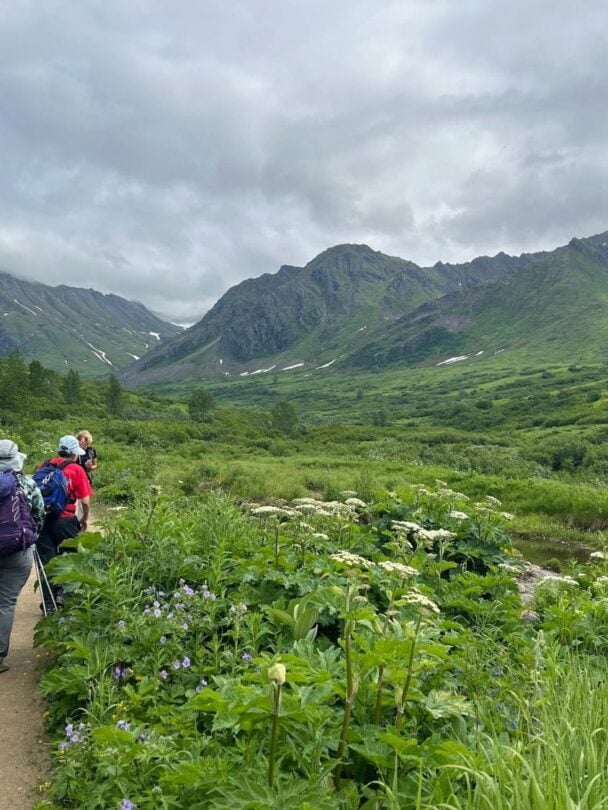 Hiking in Denali National Park | Alaska