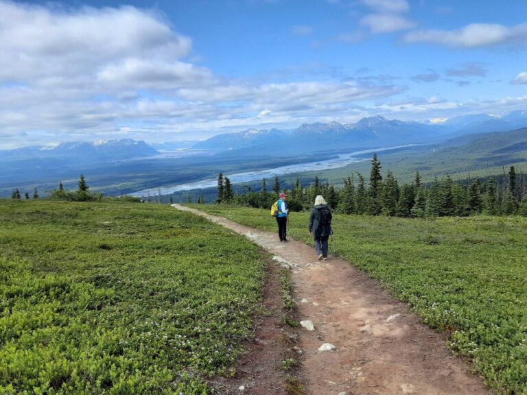 Drive to Denali National Park, hike Curry Ridge Trail — Hiking in Denali National Park | Alaska