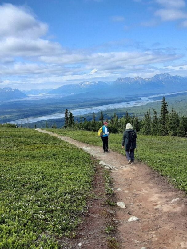 Drive to Denali National Park, hike Curry Ridge Trail — Hiking in Denali National Park | Alaska
