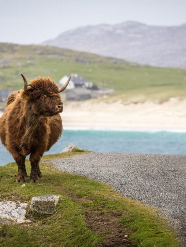 Island culture and traditions — Hiking in Inverness