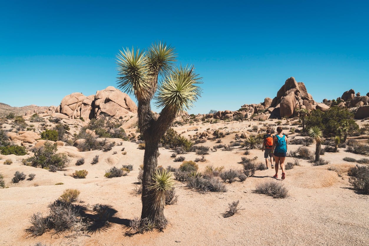 Hiking in Joshua Tree National Park | California