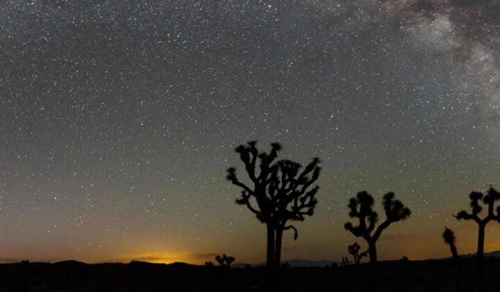 Image 6: Sunset in Joshua Tree National Park