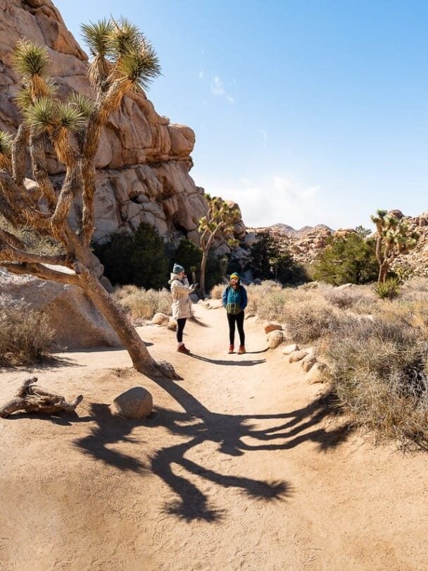 Hiking in Joshua Tree National Park | California