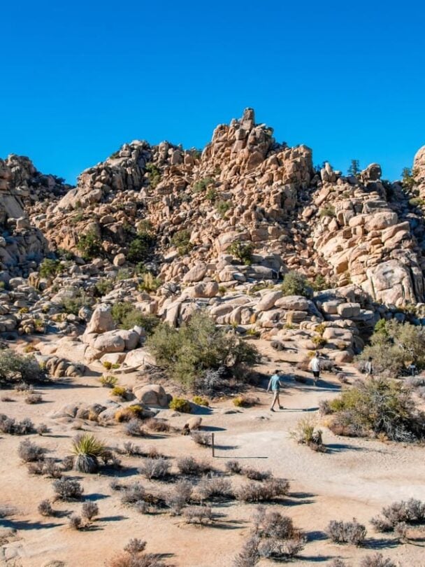 Hiking in Joshua Tree National Park | California