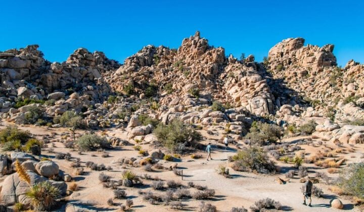 Hiking in Joshua Tree National Park | California